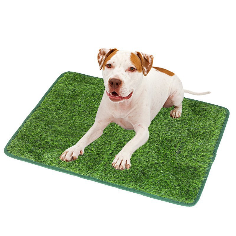 Transform Your Pet's Potty Training with Our Artificial Grass Mat